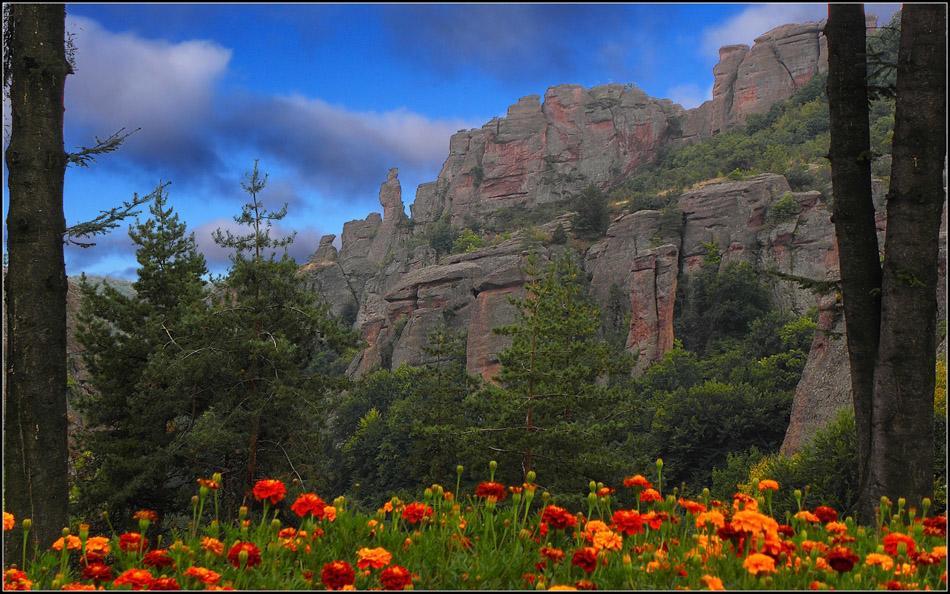 בלוגראדצ'יק Castle Cottage Bed & Breakfast מראה חיצוני תמונה